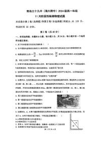 山东省青岛第三十九中学2024-2025学年高一上学期期中考试物理试卷