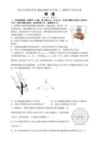 河南省郑州市郑州高新技术产业开发区郑州外国语学校2024～2025学年高二(上)期中物理试卷(含答案)