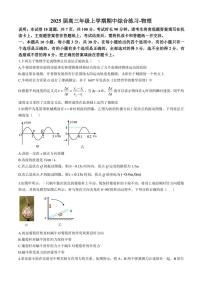 北京市中国人民大学附属中学2024～2025学年高三(上)期中物理试卷(含答案)