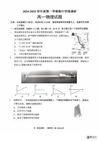 江苏省徐州市铜山区2024-2025学年高一上学期11月期中物理试题