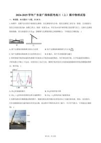 2024～2025学年广东省广深珠联考高三(上)期中物理试卷(含答案)