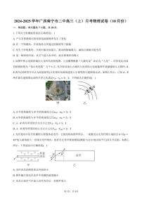 2024～2025学年广西南宁市二中高三(上)月考物理试卷(10月份)(含答案)