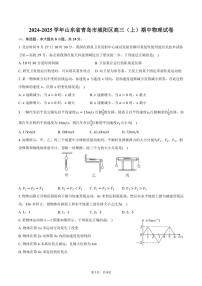 2024～2025学年山东省青岛市城阳区高三(上)期中物理试卷(含答案)