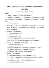 四川省宜宾市第三中学校2024-2025学年高二上学期期中考试物理试题