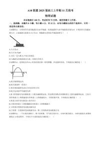 2025届1号卷A10联盟高三上学期11月段考物理试卷+答案