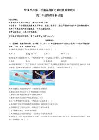 浙江温州新力量联盟2024年高二上学期期中联考物理试卷+答案