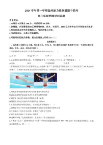 浙江温州新力量联盟2024年高二上学期期中联考物理试卷+答案