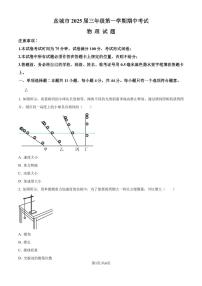 2025届江苏盐城高三上学期11月期中物理试题（含答案）