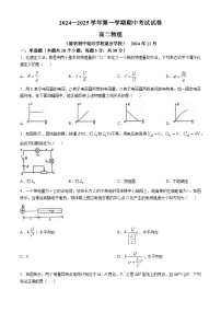 北京市清华大学附属中学朝阳学校2024-2025学年高二上学期期中考试物理试卷(无答案)