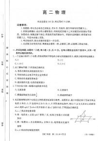 广东省云浮市2024-2025学年高二上学期11月期中物理试题