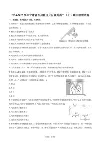 2024～2025学年甘肃省兰州新区片区联考高二(上)期中物理试卷(含答案)