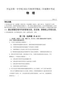 云南省开远市第一中学校2024～2025学年高二(上)期中检测物理试卷(含解析)