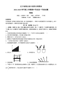 辽宁省沈阳市郊联体2024-2025学年高一上学期11月期中考试物理试卷（Word版附答案）