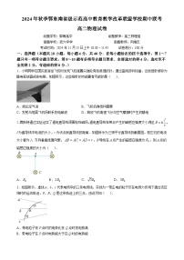 湖北省鄂东南省级示范高中教育教学改革联盟学校2024-2025学年高二上学期期中联考物理试卷（Word版附答案）