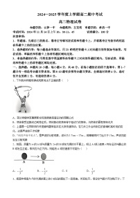 湖北省新高考联考协作体2024-2025学年高二上学期11月期中联考物理试卷（Word版附解析）