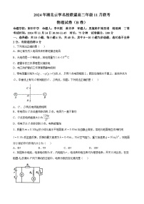 湖北省云学联盟2024-2025学年高二上学期11月期中联考物理试卷（Word版附解析）