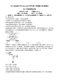 辽宁省实验中学2024-2025学年高三上学期期中考试物理试卷（Word版附答案）