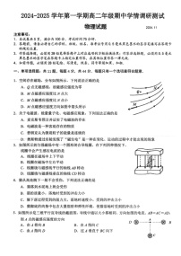 江苏省扬州市高邮市2024-2025学年高二上学期11月期中物理试题