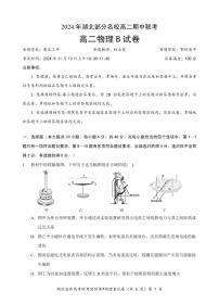 湖北省部分名校2024-2025学年高二上学期11月期中联考物理试题（B）