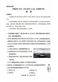 河南省驻马店市河南驻马店经济开发区2024-2025学年高一上学期11月期中物理试题