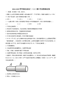 湖北省2024-2025学年高二上学期期中联考物理试卷（Word版附答案）