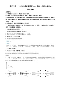 重庆市第十一中学2024-2025学年高二上学期11月期中考试物理试卷（Word版附解析）