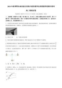 湖北省鄂东南省级示范高中教育教学改革联盟学校2024～2025学年高二(上)期中联考物理试卷(含解析)