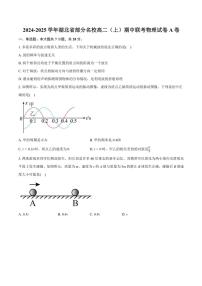 湖北省部分名校2024～2025学年高二(上)期中联考物理试卷(A卷)(含解析)