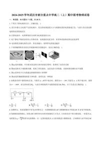 湖北省武汉市六校联考2024～2025学年高二(上)期中物理试卷(含解析)