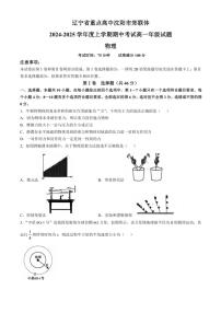 辽宁省沈阳市郊联体2024～2025学年高一(上)期中物理试卷(含答案)