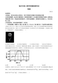 山东省临沂市2024～2025学年高三(上)期中物理试卷(含答案)