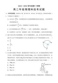 海南省文昌中学2024～2025学年高二(上)11月段考物理试卷(含答案)