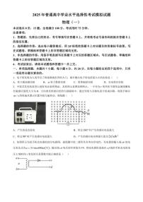 河北省沧州市运东五校2024～2025学年高三(上)期中物理试卷(含解析)