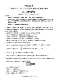 河南省驻马店市环际大联考“逐梦计划”2024-2025学年高二上学期11月期中考试物理试卷（PDF版附解析）