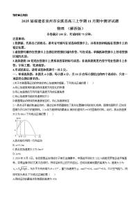 2025届福建省泉州市安溪县高三上学期11月期中测评试题 物理 （解析版）