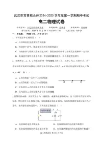 湖北省武汉市常青联合体2024-2025学年高二上学期期中考试物理试卷