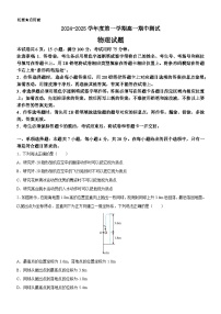 广东省阳江市高新区2024-2025学年高一上学期11月期中考试物理试卷（Word版附答案）