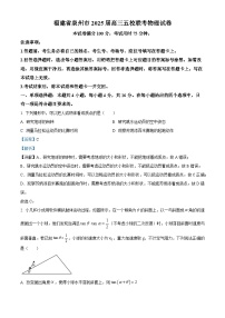 福建省泉州市五校2024-2025学年高三上学期11月期中联考物理试卷（Word版附解析）