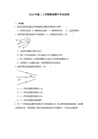 湖南省岳阳市临湘市2024-2025学年高二上学期11月期中物理试题