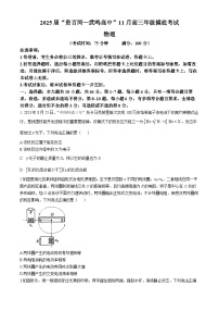 2025届广西“贵百河—武鸣高中”高三上学期11月摸底考试物理试卷