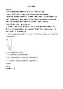 2025河南省部分学校高三上学期11月月考物理试题含解析