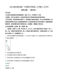 2025届河南省南阳一中等部分学校高三上学期11月月考物理试题  （解析版）