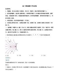 云南省2024-2025学年高二上学期11月期中考试物理试题（Word版附解析）