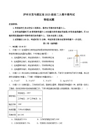 四川省泸州市龙马潭区2024-2025学年高二上学期11月期中物理试题