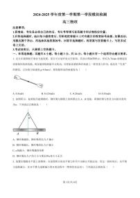 山东省青岛市2024-2025学年高三上学期期中物理试卷（附解析版）