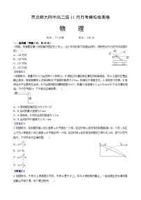 甘肃省兰州市西北师范大学附属中学2024-2025学年高二上学期11月月考物理试题