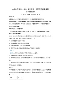 2024-2025学年贵州省六盘水市高一(上)11月期中物理试卷（解析版）