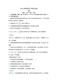 2024-2025学年湖南省名校联考联合体高一(上)11月期中物理试卷（解析版）