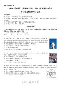 浙江省温州环大罗山联盟2024-2025学年高二上学期期中考试物理试题