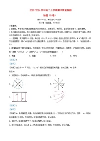 云南省昭通市鲁甸县2023_2024学年高二物理上学期期中试题B卷含解析